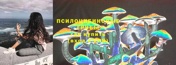 PSILOCYBIN Вязники